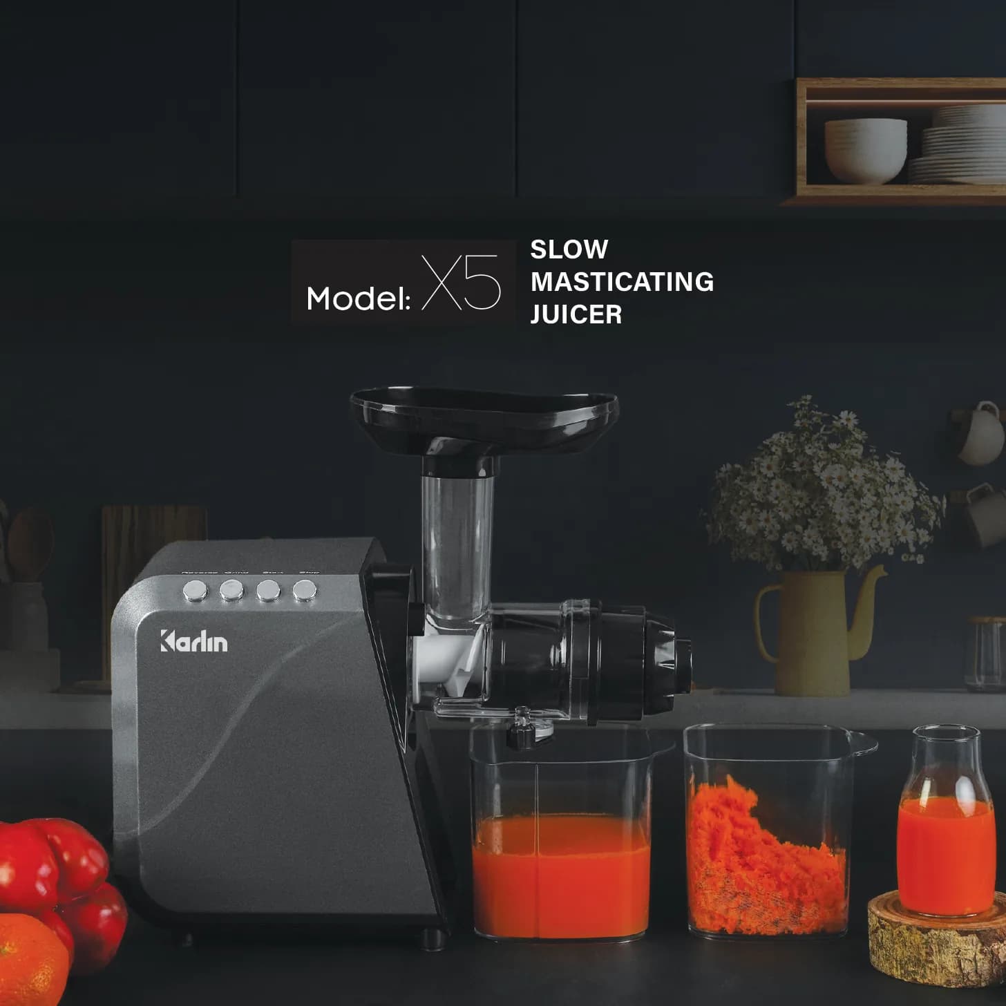 Máy Ép Chậm Trục Ngang X5 (Chỉ cụm ép)